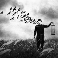 parax - Wunschkonzert