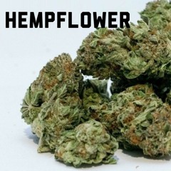 HempFlower