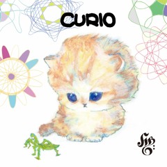 CURIO / HMBG RTCDR-013 Digest