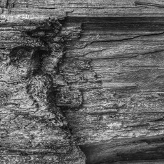 Dan - Ill - Forever 27