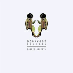 PREMIERE: Bookwood - Polysin (Original Mix) [Cosmic Society]