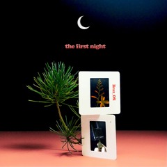 ☾ the first night ☾
