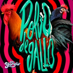 POLVO DE GALLO