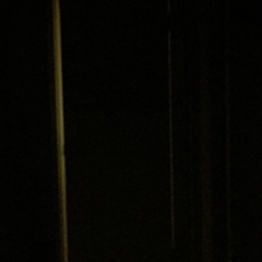 Loneliness 2018.4.20