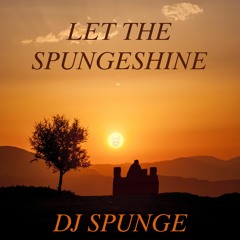 Let The Spungeshine