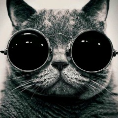 Kool