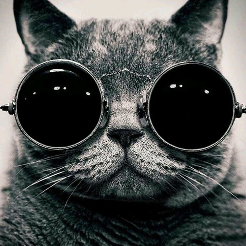 Kool