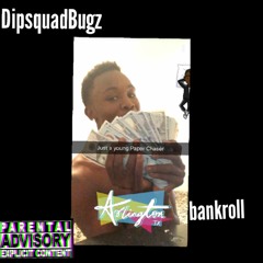 DipsquadBugz-BANK ROLL MASTER