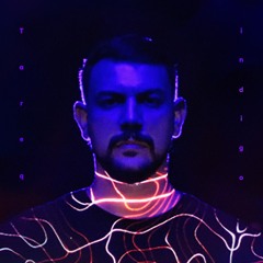 Tareq - Irreversible (Louis Lennon Remix)