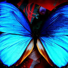 Beautiful Things 2018