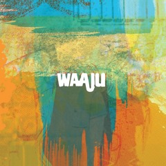 Exclusive Premiere: Waaju "Kaolack" (Olindo Records)