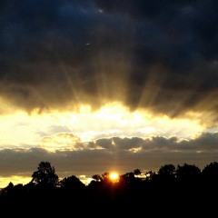 Claim The Light (C) BMI