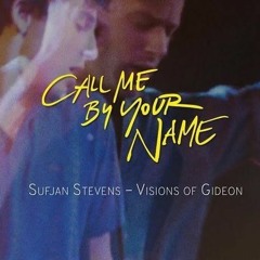 Sufjan Stevens - Visions of Gideon (OST)