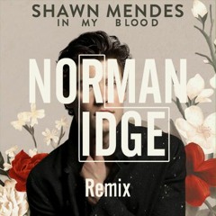 Shawn Mendes - In My Blood (Norman Ridge Remix)