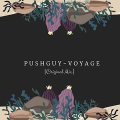 Pushguy-Voyage(Original Mix)