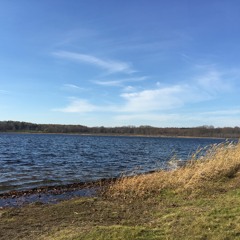 Unopened Doors (C) BMI