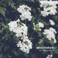 আমারে উড়াইয়া দিও || Amare Uraia Dio || Ahmed Hasna Sani || স্বপ্নজাল - Swapnajaal