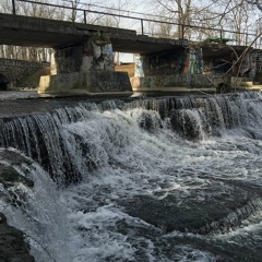 What Vibration Are You At (C)  BMI