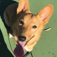 mix, sets, and chill