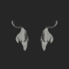 Orlean - "Horizons"