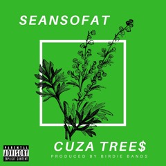 Cuza Tree$
