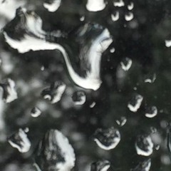 OUTKA$T - Low Tolerence