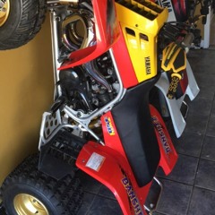 Who run it X Player$ClubJay