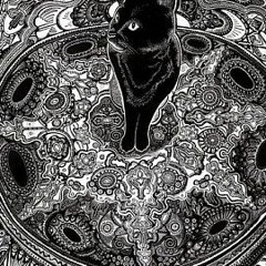 Viaggiator [Acid-Tekno core - 150 Bpm]