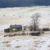 Home On The Range Mp3