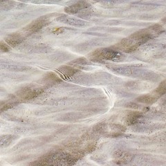 Don't Hit Me @8 - @5dollarbox (Prod. MalachiLifestarted, NOIZ, KZRSZE ,POWERS)