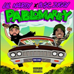 Lil Nardy & B$C ZIggy - Rapper Weed