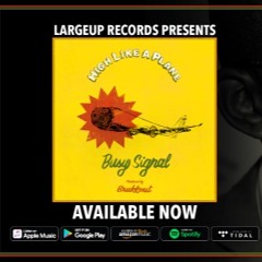Busy Signal_"High Like A Plane"