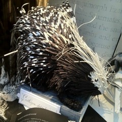 Nothing But Stars, Quills, Paper And A Leaf