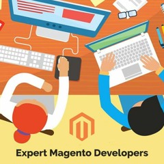 Expert Magento Developer