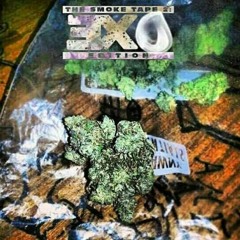 G3getzcrazy- Cary On