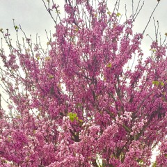 be soo lit        (prod: Bad Babby )