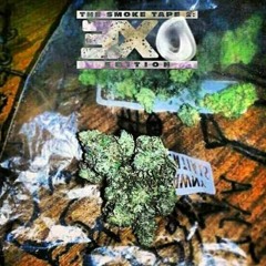 G3GetCrazy - Roll My Tree (ft  Wornsockz)