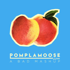 Pomplamoose - A Bad Mashup