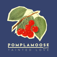 Pomplamoose - Tainted Love