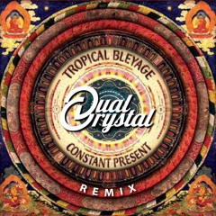 Tropical Bleyage - Eclipse (Dual Crystal Rmx)