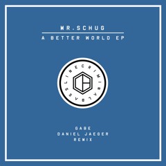 Mr.Schug - We Follow (Original Mix)