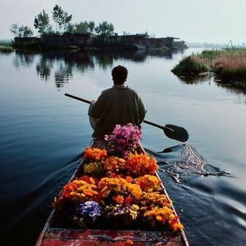 براهنی به تناوب /برای تو