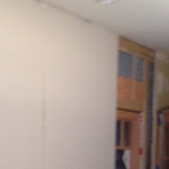 Bees Wing by Richard Thompson