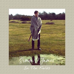 SIMON D JAMES - In The Fields