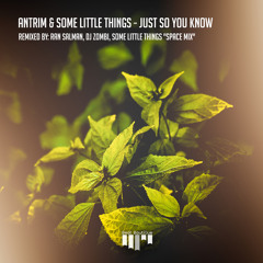 PREMIERE : Antrim & Some Little Things - Just So You Know (Ran Salman Remix)