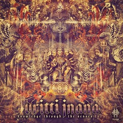 02. Daash & Kokobloko -  Crossdimentional