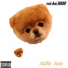 ničke3000 - slatke kuce [prod. pizzaboi.]