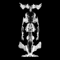 Vofa - PI05 [π05]