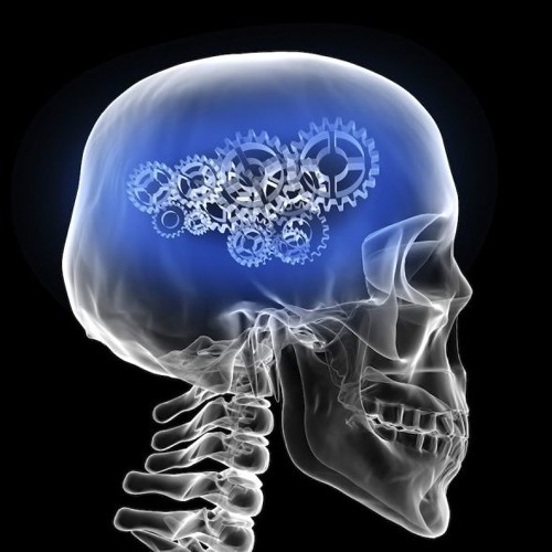 D.O.M. - Crack in Brain