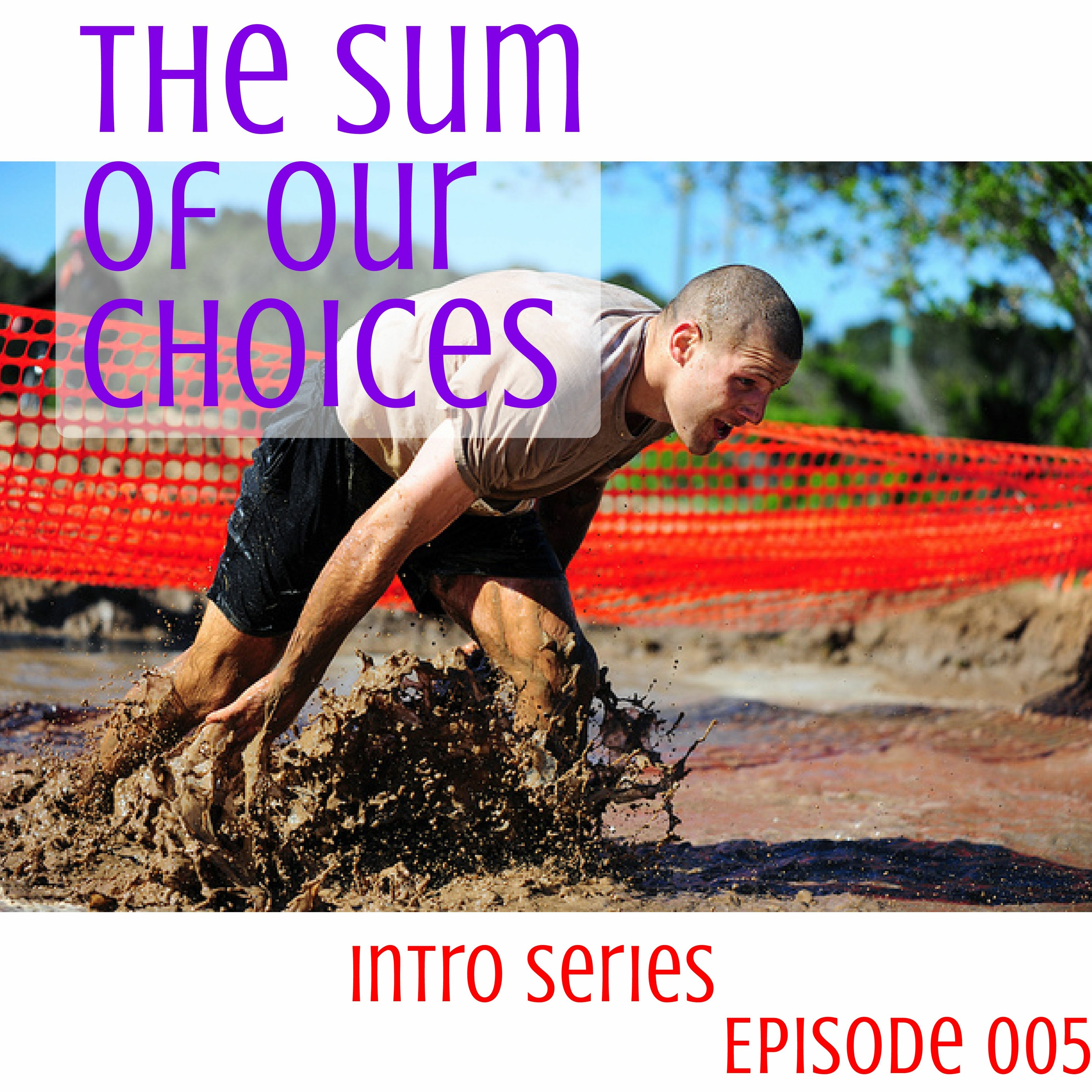 005 The Sum Of Our Choices